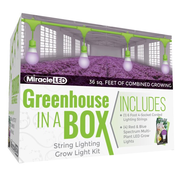 Miracle Led 4-Socket Greenhouse in a Box Grow Light Kit- Red & Blue Spec. 12W Replace 150W Grow Bulbs 802264 - main